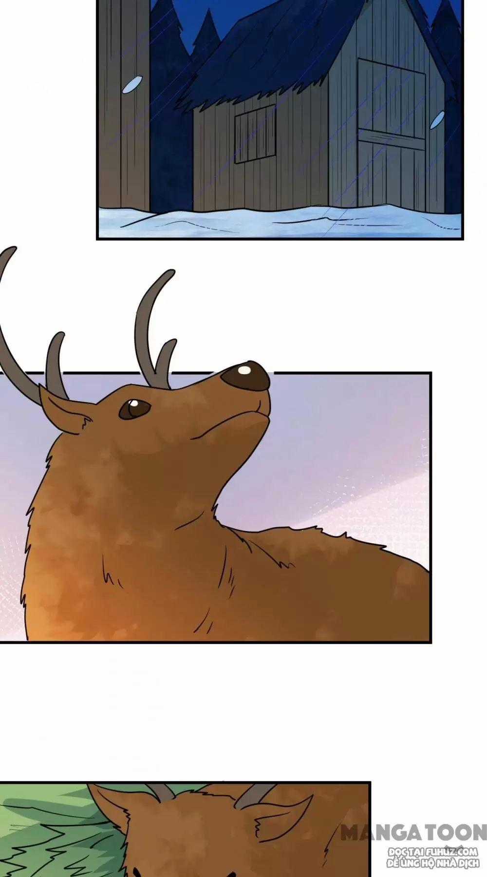 Tôi Sống Trên Hoang Đảo Cùng Các Em Gái Chương 240 trang 36