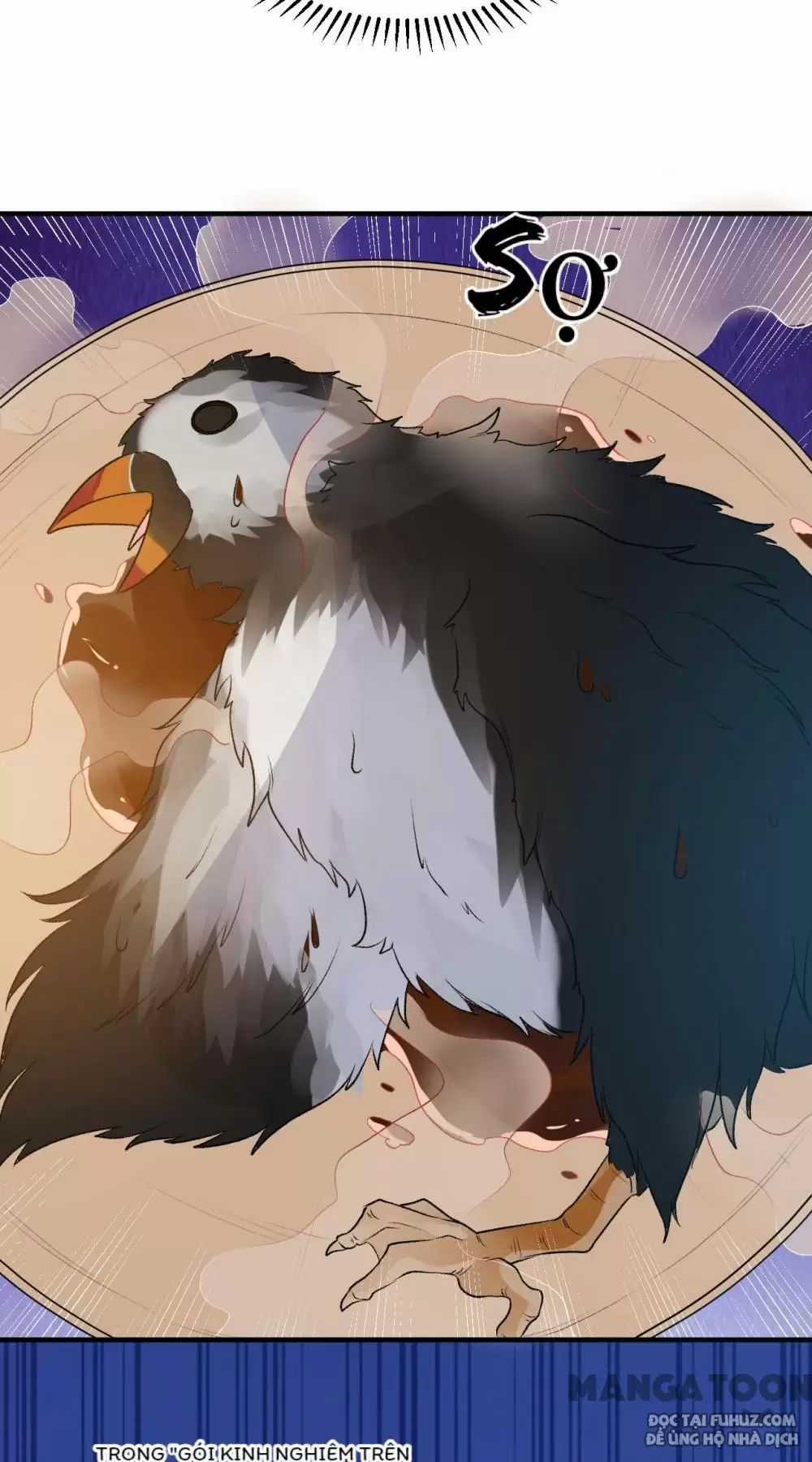 Tôi Sống Trên Hoang Đảo Cùng Các Em Gái Chương 245 trang 30