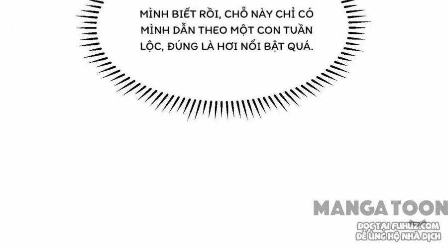 Tôi Sống Trên Hoang Đảo Cùng Các Em Gái Chương 254 trang 29