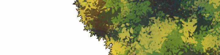 Tôi Sống Trên Hoang Đảo Cùng Các Em Gái Chương 298 trang 30