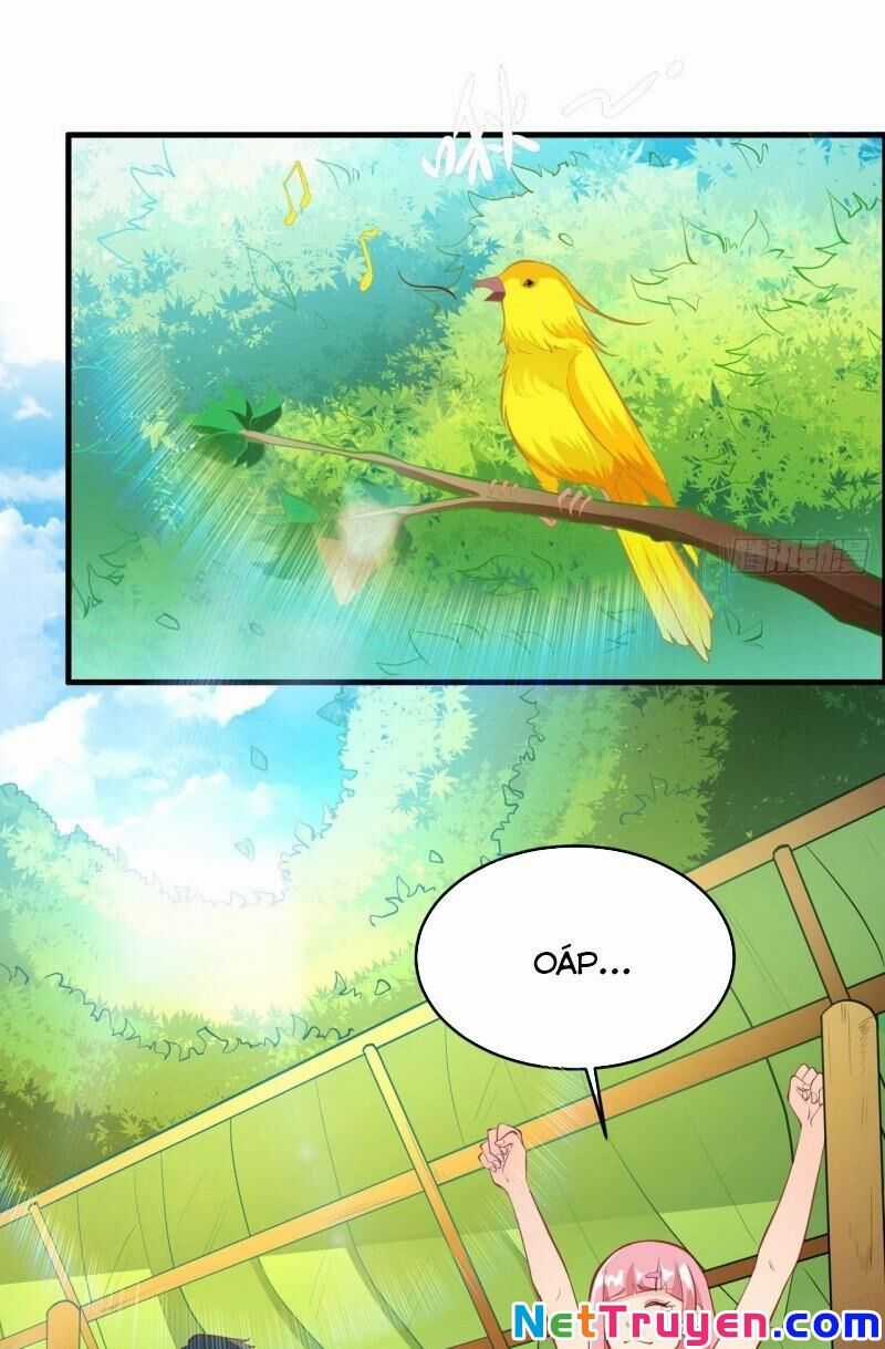 Tôi Sống Trên Hoang Đảo Cùng Các Em Gái Chương 7 trang 18