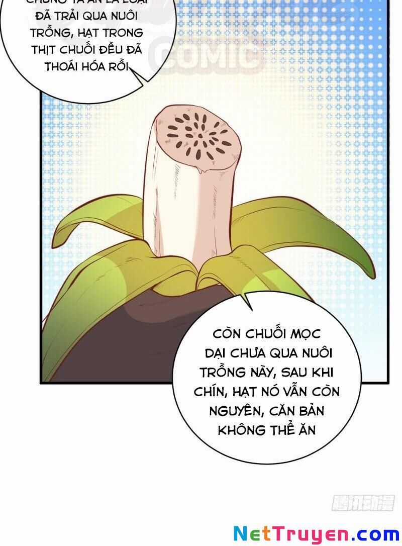 Tôi Sống Trên Hoang Đảo Cùng Các Em Gái Chương 8 trang 13