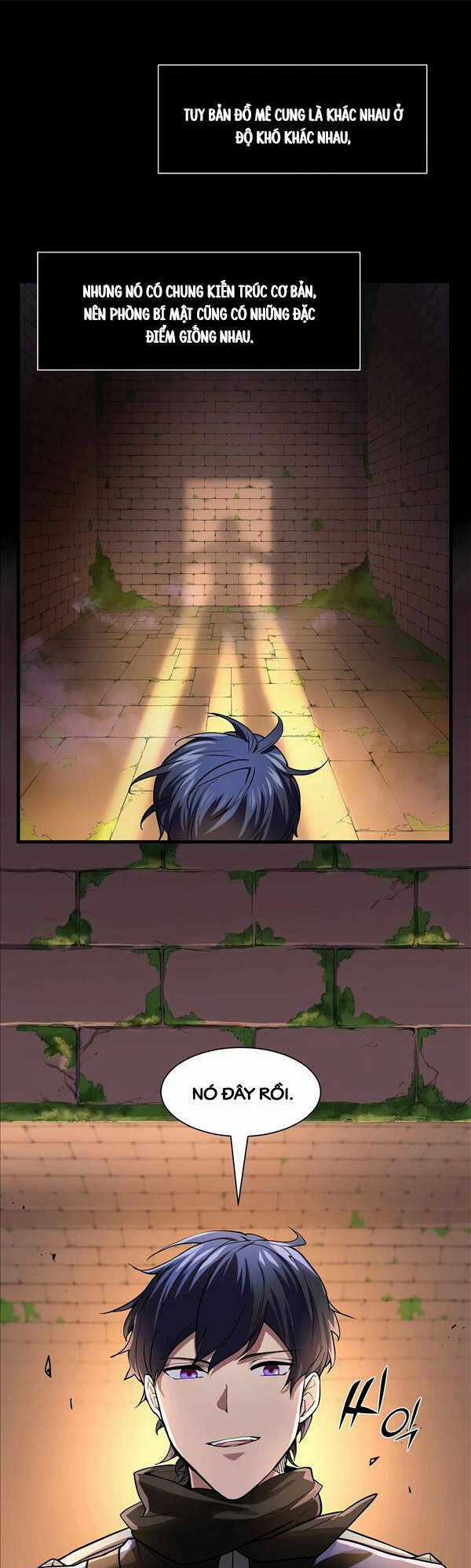 Tôi Thăng Cấp Bằng Kĩ Năng Chapter 12 trang 24