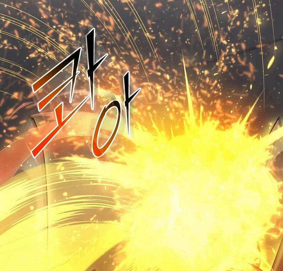 Tôi Thăng Cấp Bằng Kĩ Năng Chapter 46 trang 153