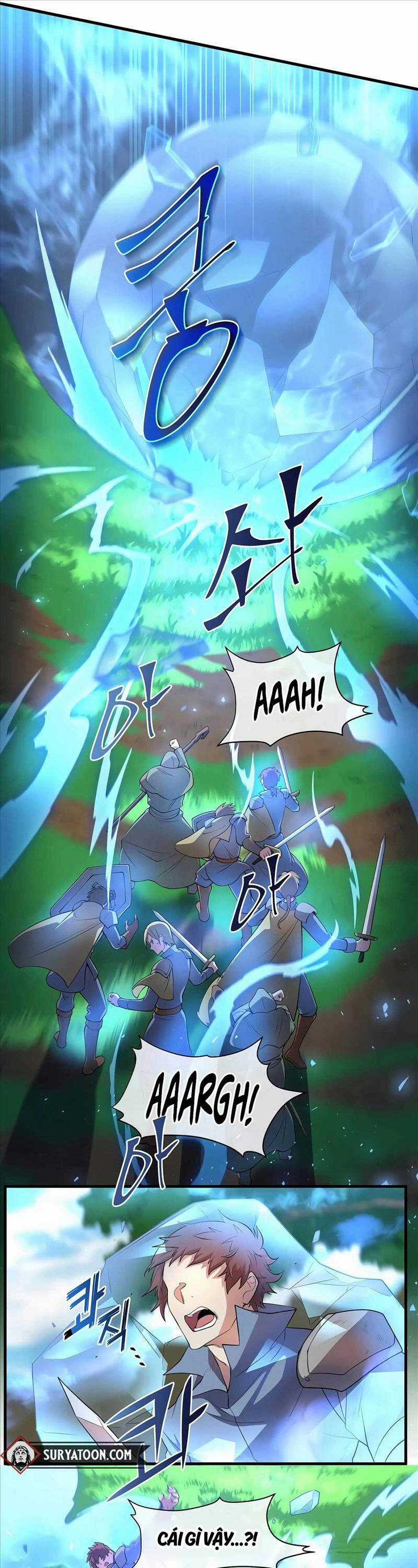 Tôi Thăng Cấp Bằng Kĩ Năng Chapter 65 trang 13