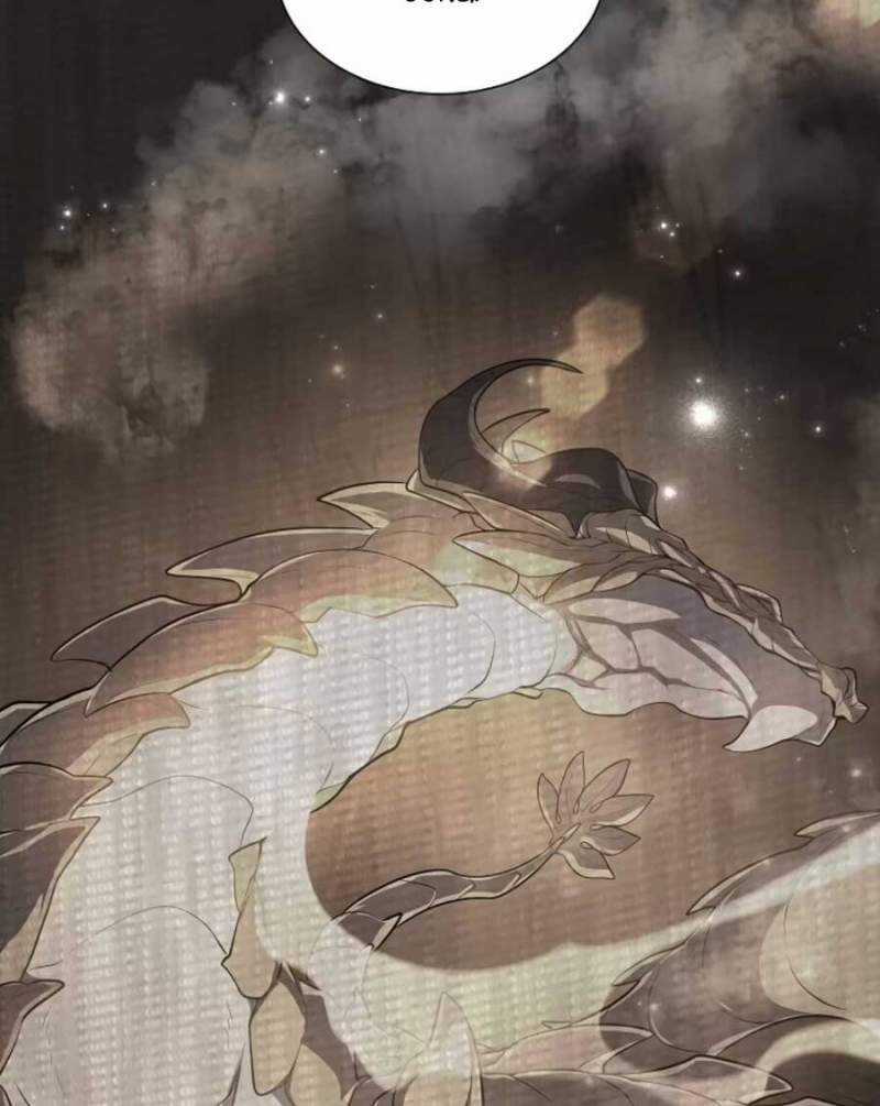 Tôi Thăng Cấp Bằng Kĩ Năng Chapter 71 trang 17