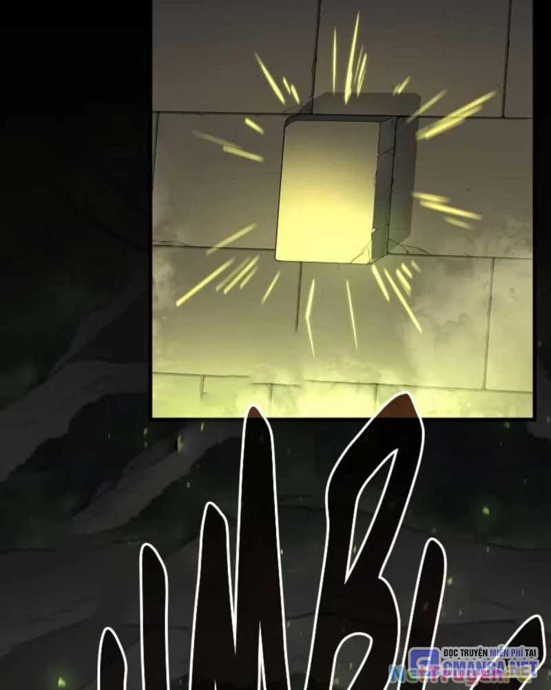 Tôi Thăng Cấp Bằng Kĩ Năng Chapter 73 trang 102