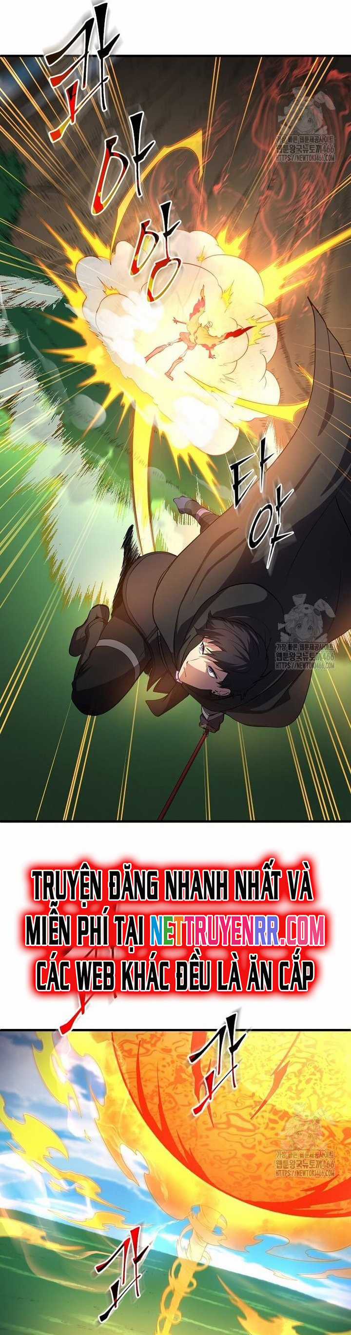 Tôi Thăng Cấp Bằng Kĩ Năng Chapter 89 trang 17