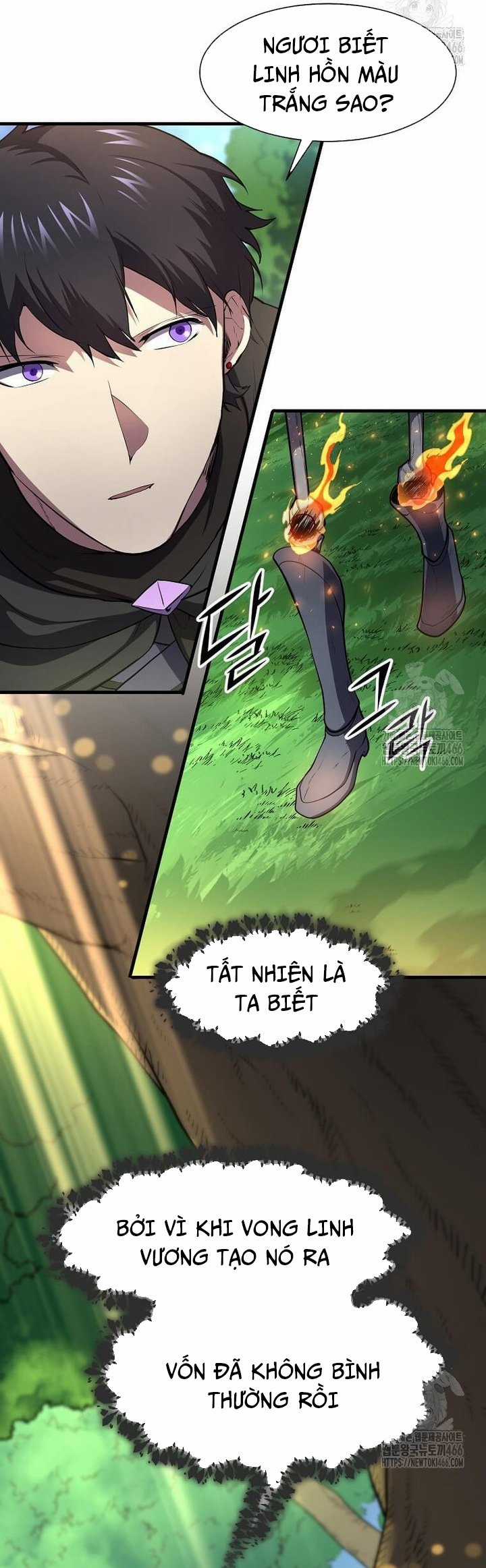 Tôi Thăng Cấp Bằng Kĩ Năng Chapter 89 trang 5