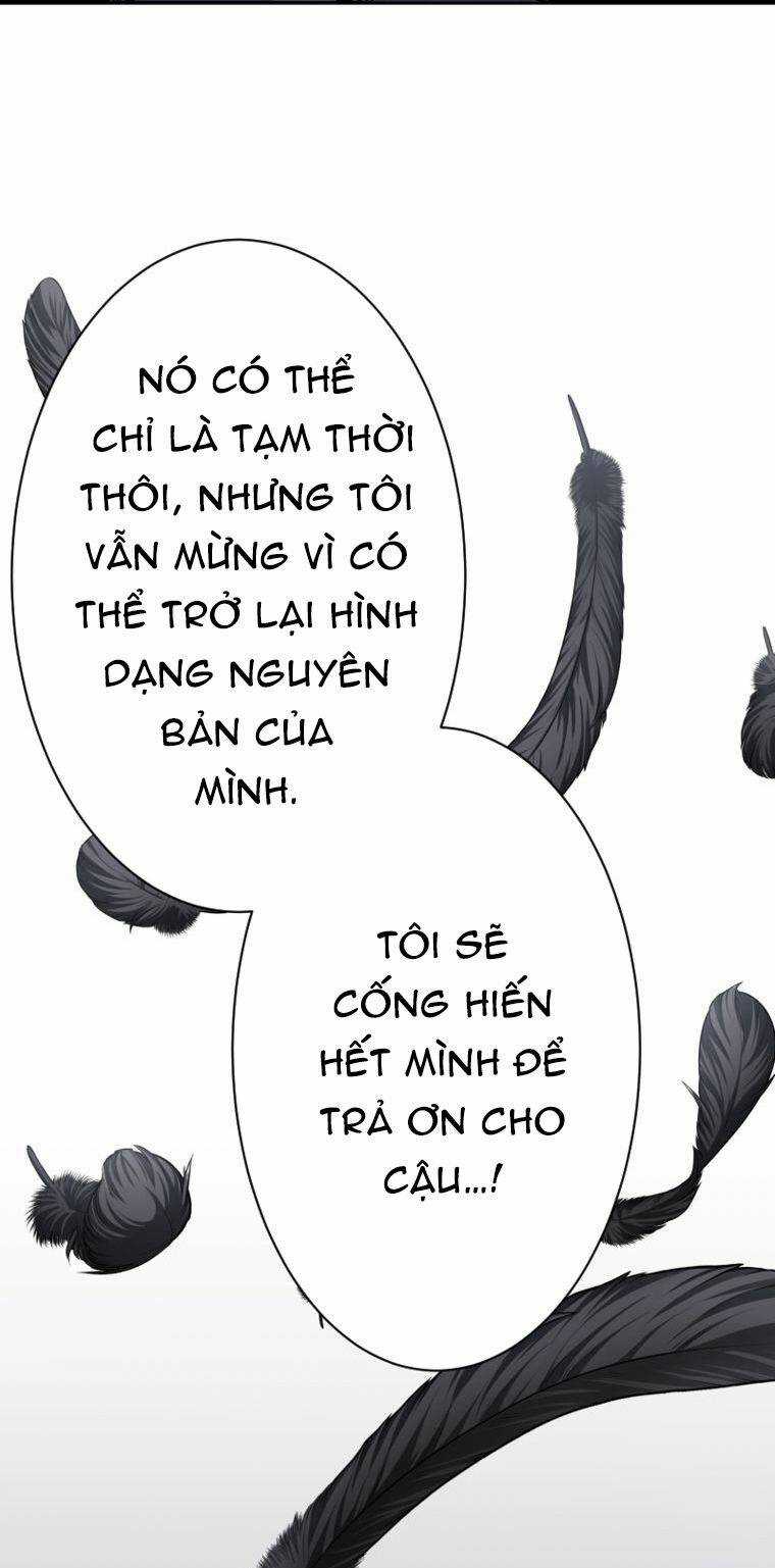 Tôi Thăng Cấp Tột Đỉnh Vì Là 1 Kol Chapter 14 trang 40