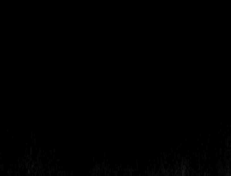 Tôi Thăng Cấp Trong Lúc Ngủ Chapter 53 trang 71