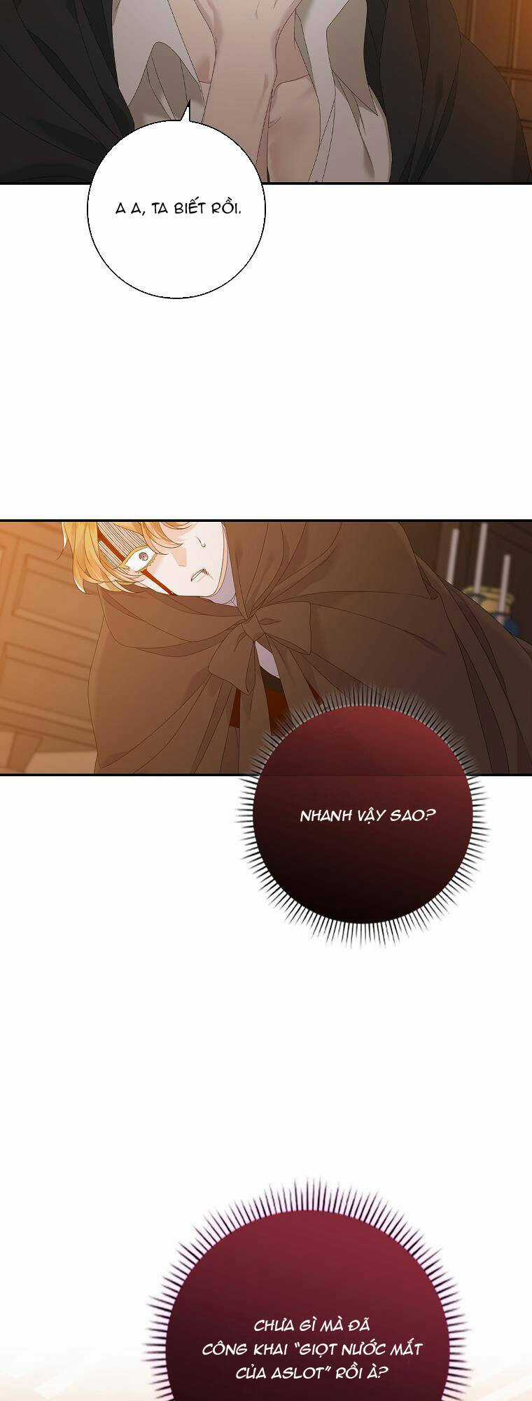 Tôi Thích Phục Vụ Cho Những Nhân Vật Phản Diện Chapter 23.1 trang 8