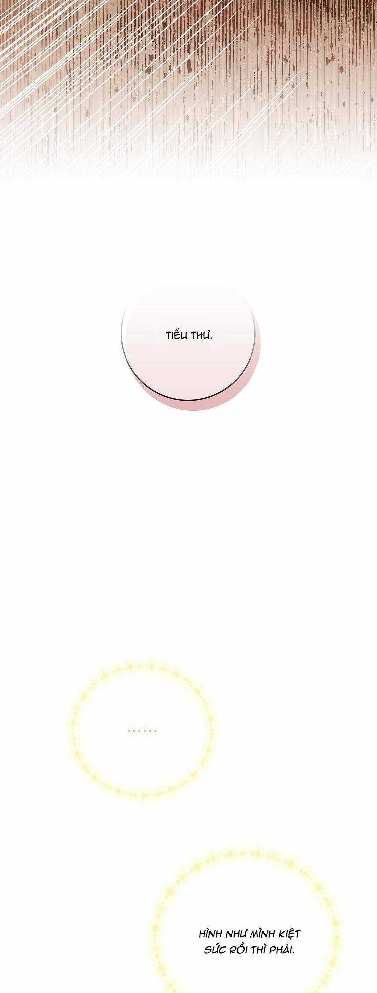 Tôi Thích Phục Vụ Cho Những Nhân Vật Phản Diện Chapter 24.2 trang 4