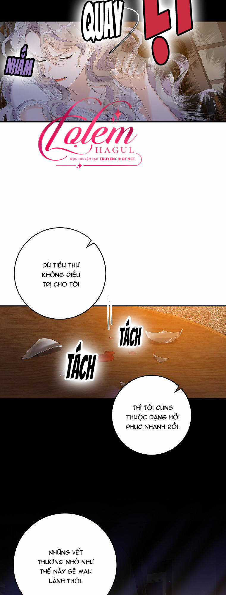 Tôi Thích Phục Vụ Cho Những Nhân Vật Phản Diện Chapter 30.1 trang 9