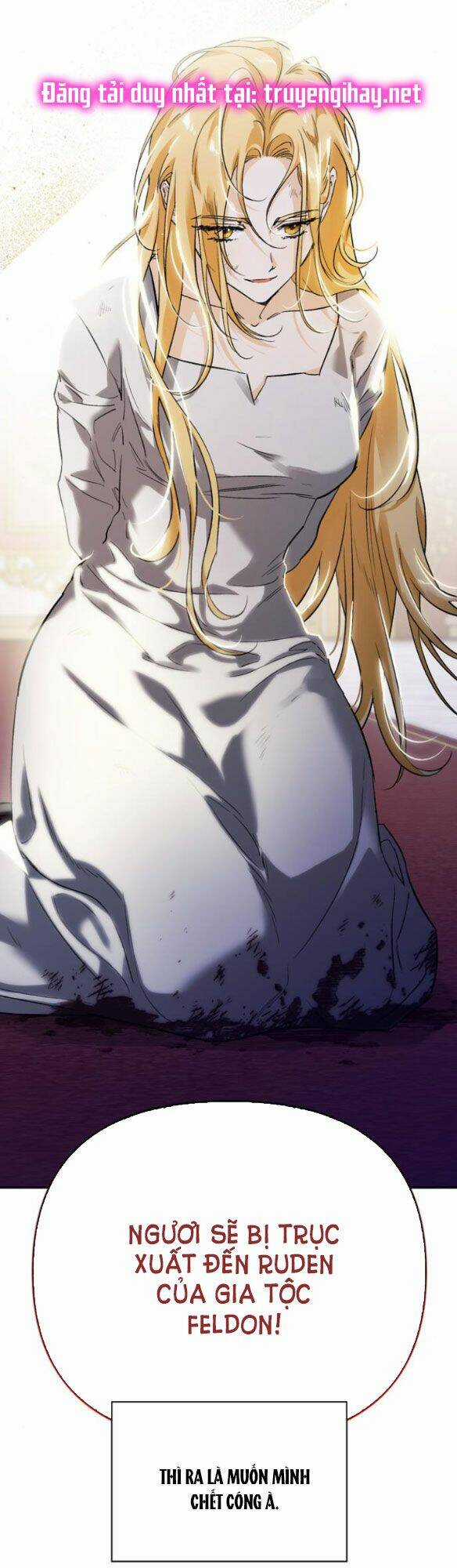 Tôi Thuần Hóa Chó Điên Của Chồng Cũ Chapter 2 trang 17