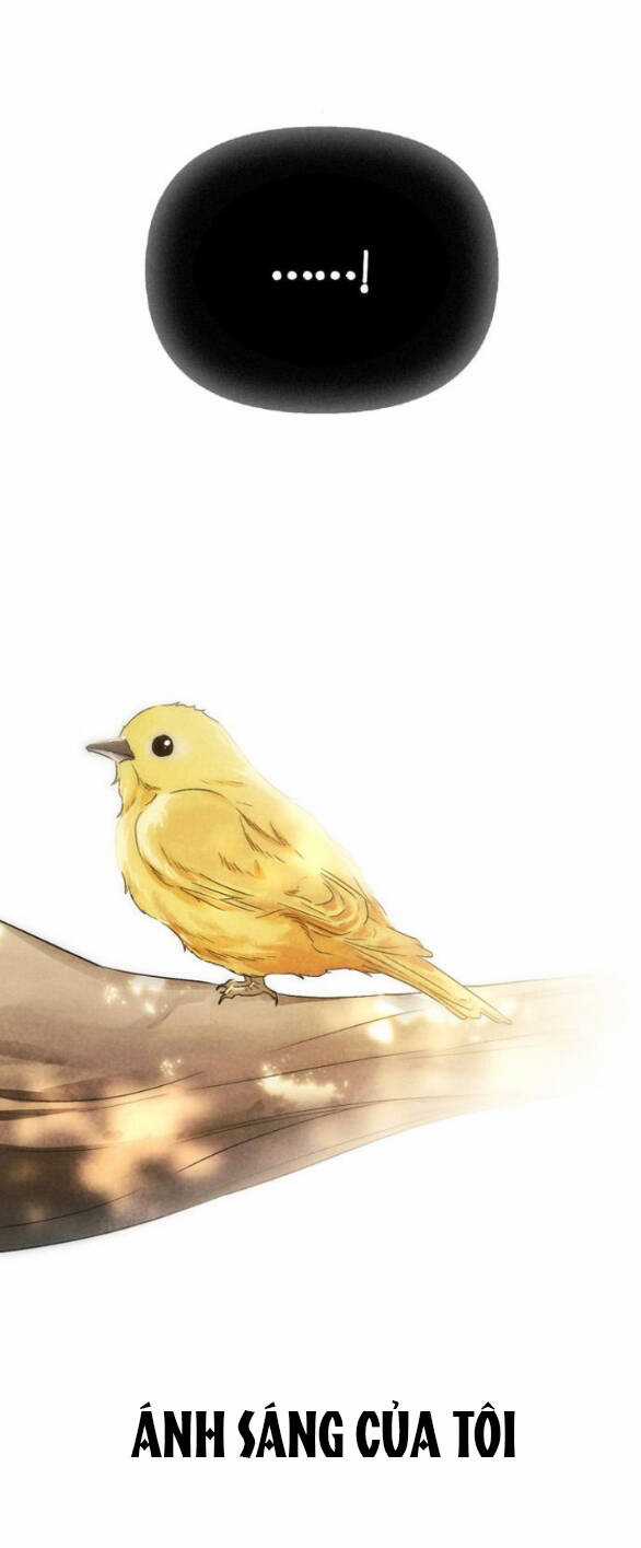 Tôi Thuần Hóa Chó Điên Của Chồng Cũ Chapter 76.1 trang 20