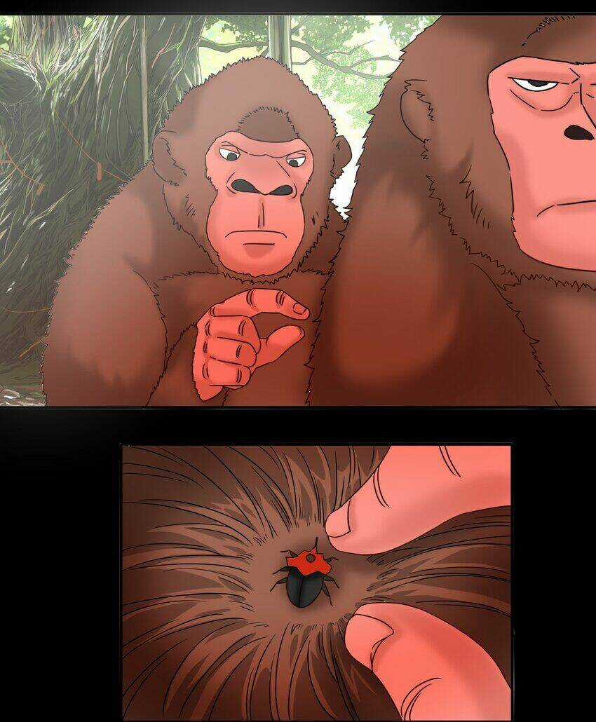 Tôi Trở Thành Ceo Ở Thế Giới Khác Chapter 19 trang 13