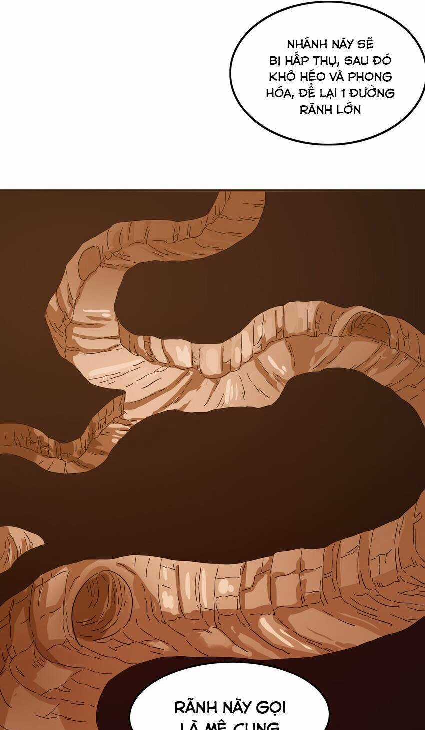 Tôi Trở Thành Ceo Ở Thế Giới Khác Chapter 33 trang 20