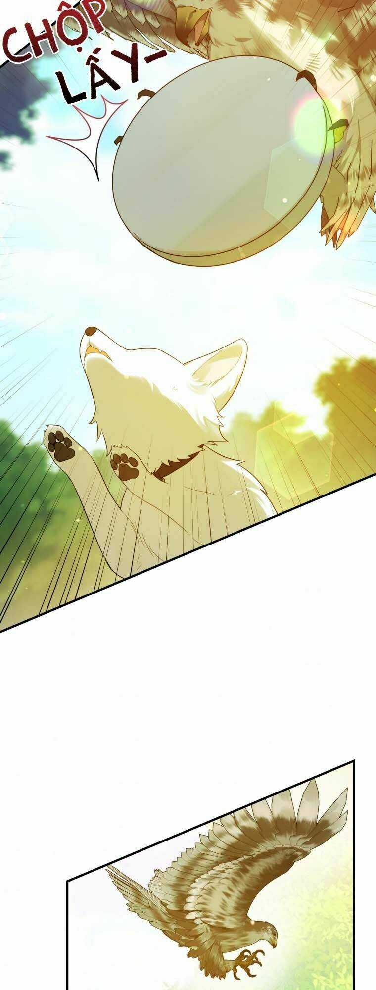 Tôi Trở Thành Em Gái Của Nam Chính Tiểu Thuyết Bl Chapter 13 trang 15