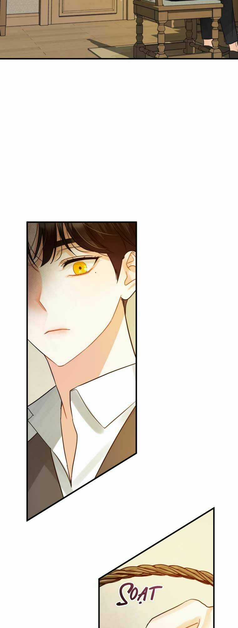 Tôi Trở Thành Em Gái Của Nam Chính Tiểu Thuyết Bl Chapter 5 trang 13