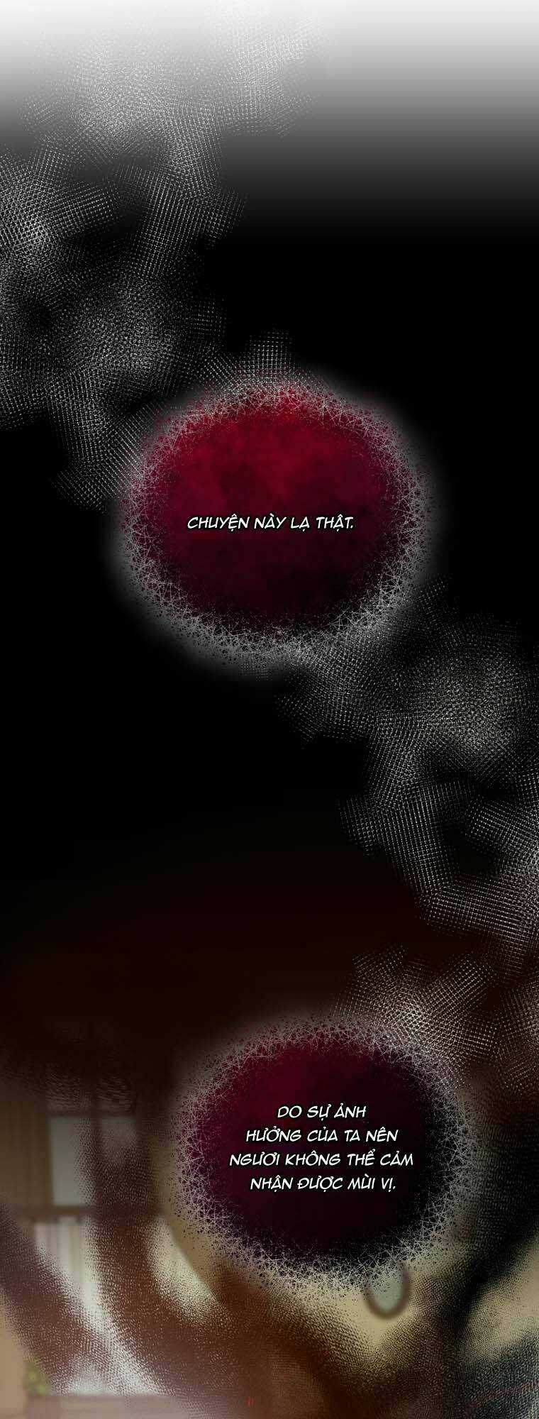 Tôi Trở Thành Em Gái Của Nam Chính Tiểu Thuyết Bl Chapter 5 trang 17