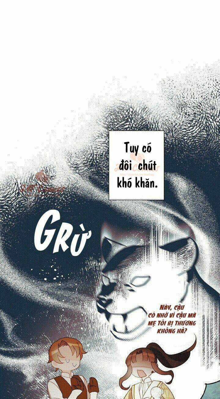 Tôi Trở Thành Mẹ Kế Của Cinderella Chapter 12 trang 15