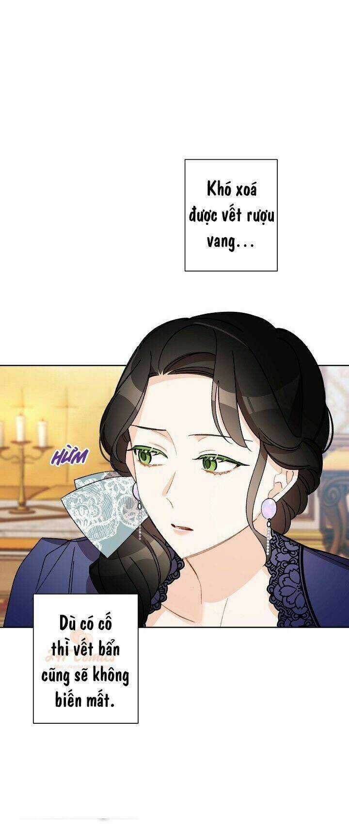 Tôi Trở Thành Mẹ Kế Của Cinderella Chapter 21 trang 17