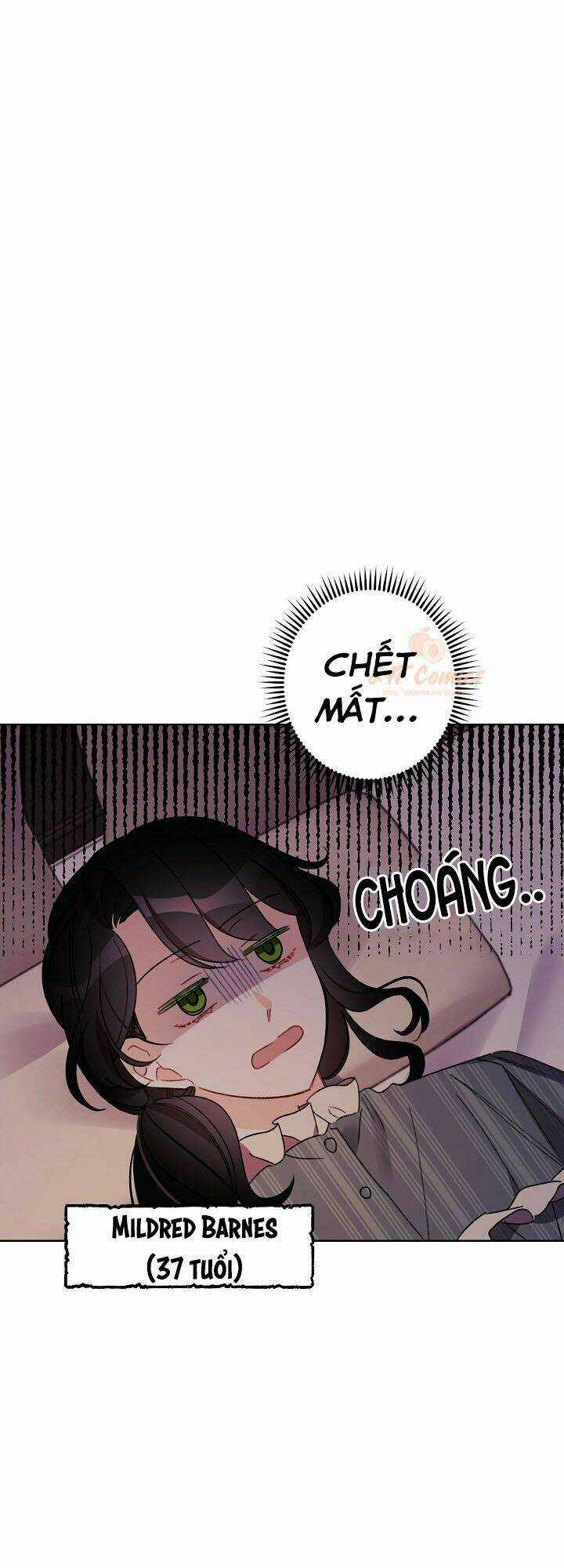 Tôi Trở Thành Mẹ Kế Của Cinderella Chapter 23 trang 4