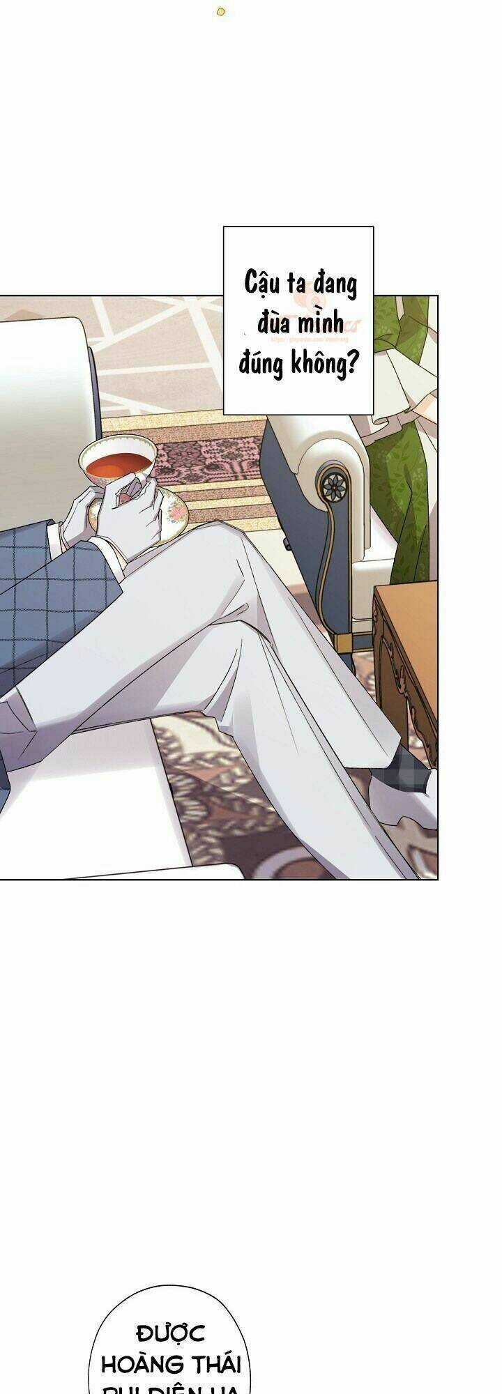 Tôi Trở Thành Mẹ Kế Của Cinderella Chapter 25 trang 19