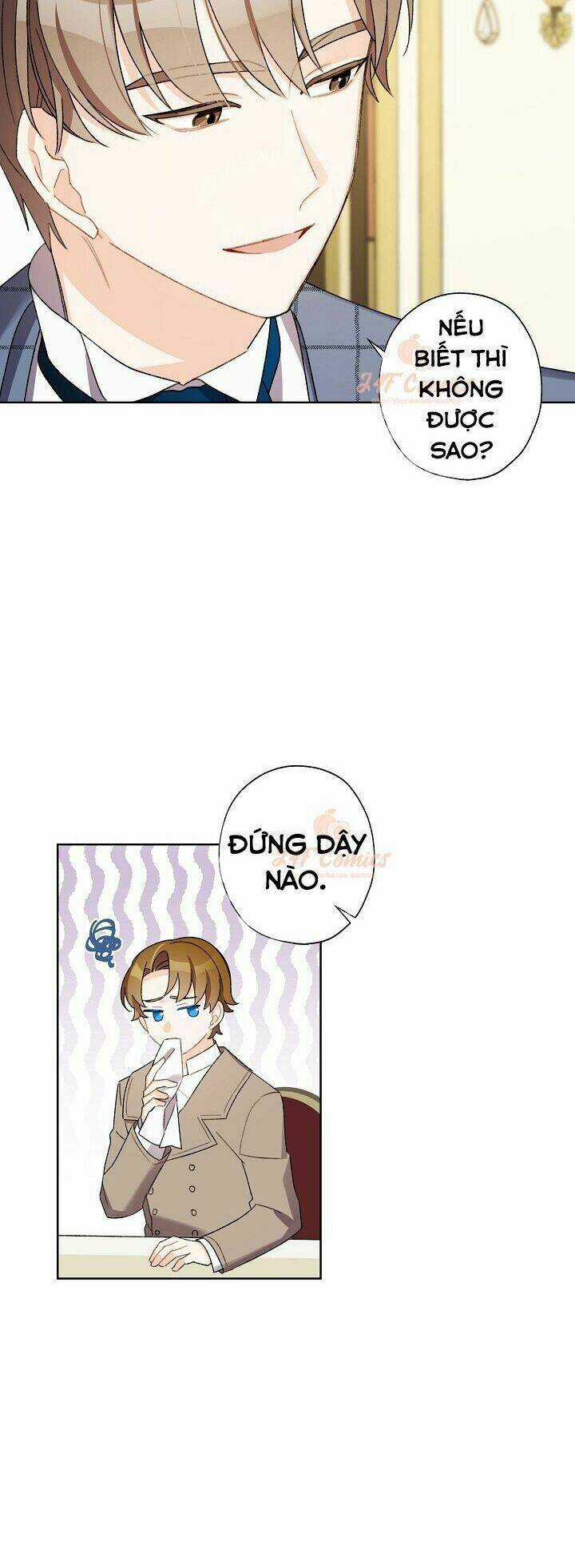 Tôi Trở Thành Mẹ Kế Của Cinderella Chapter 27 trang 19