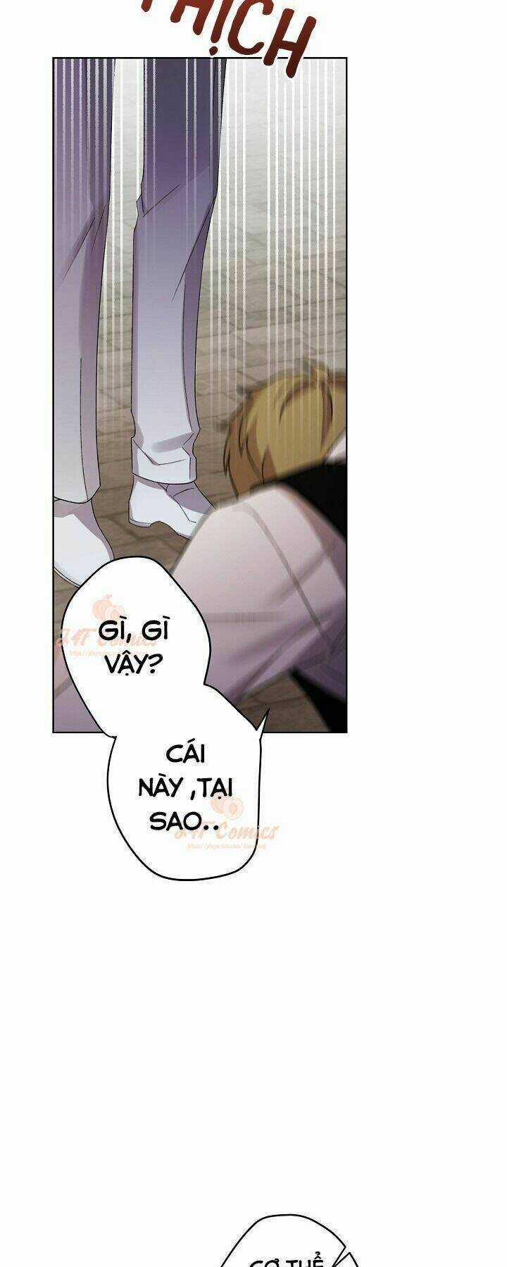 Tôi Trở Thành Mẹ Kế Của Cinderella Chapter 27 trang 60