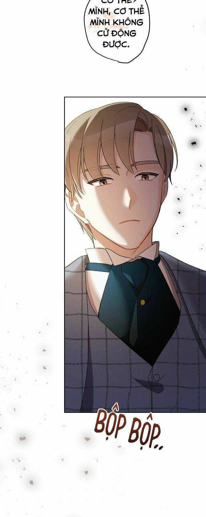 Tôi Trở Thành Mẹ Kế Của Cinderella Chapter 27 trang 61