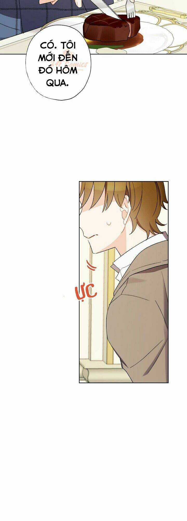 Tôi Trở Thành Mẹ Kế Của Cinderella Chapter 27 trang 8