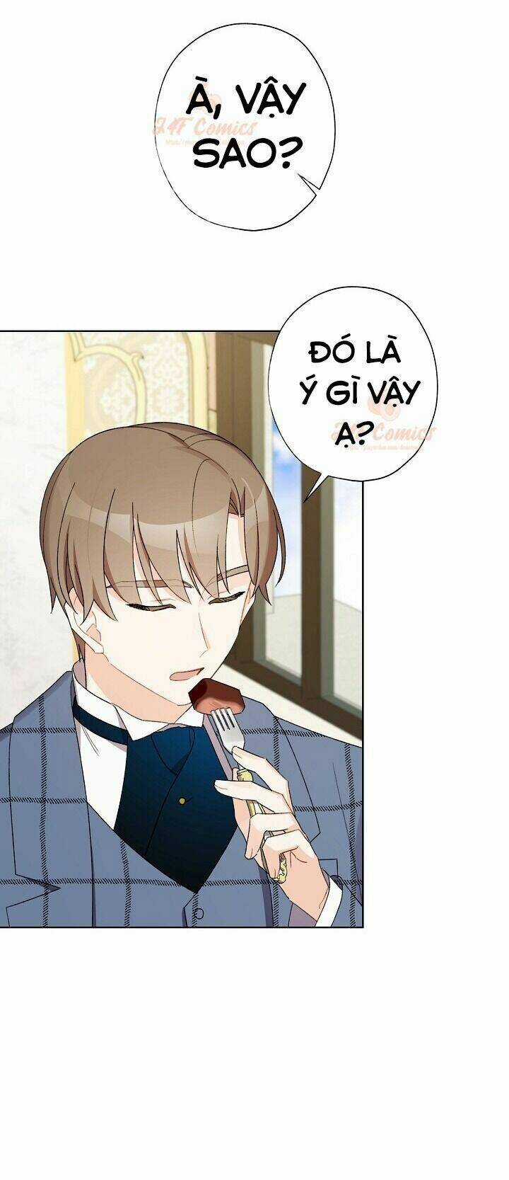 Tôi Trở Thành Mẹ Kế Của Cinderella Chapter 27 trang 9