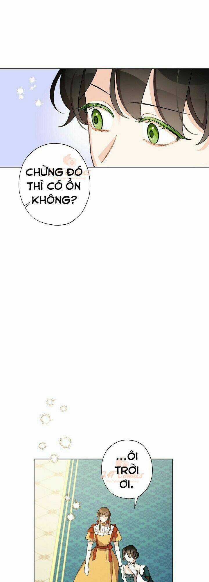 Tôi Trở Thành Mẹ Kế Của Cinderella Chapter 28 trang 17