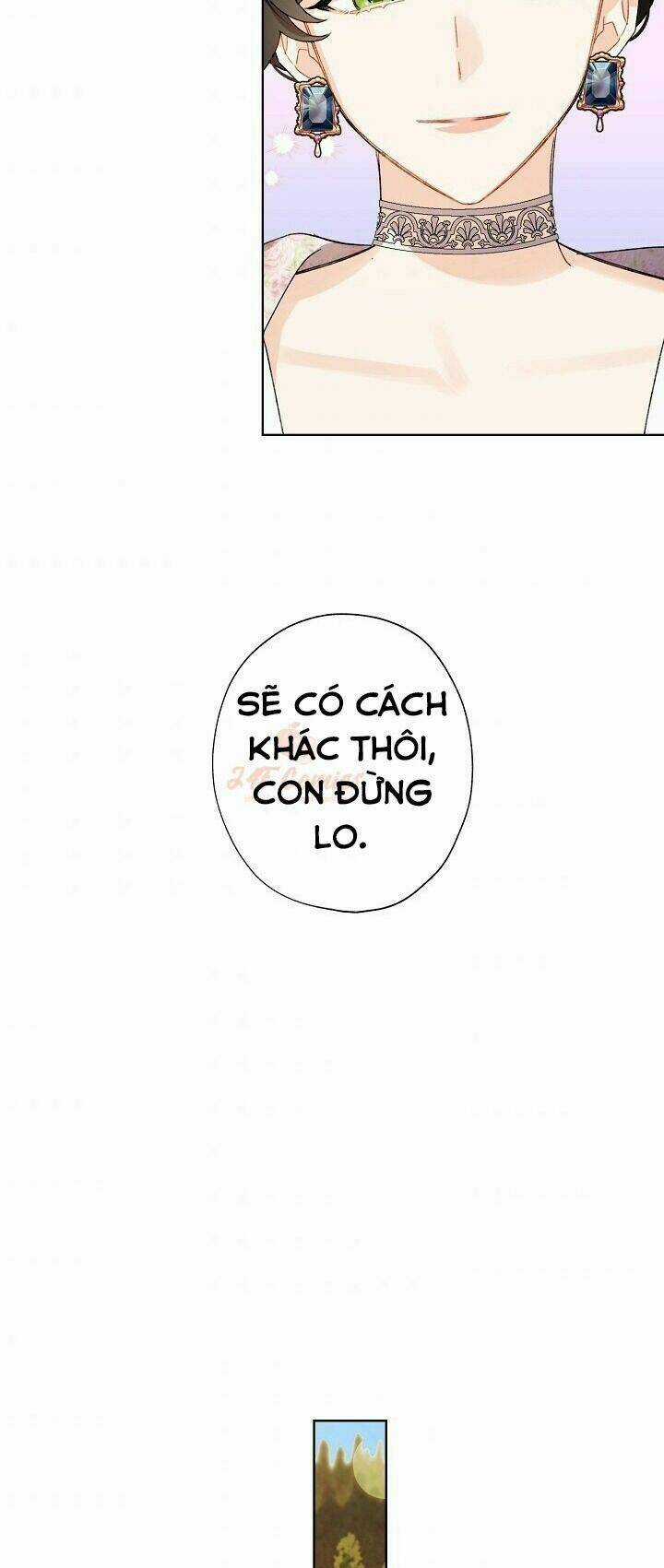 Tôi Trở Thành Mẹ Kế Của Cinderella Chapter 28 trang 46