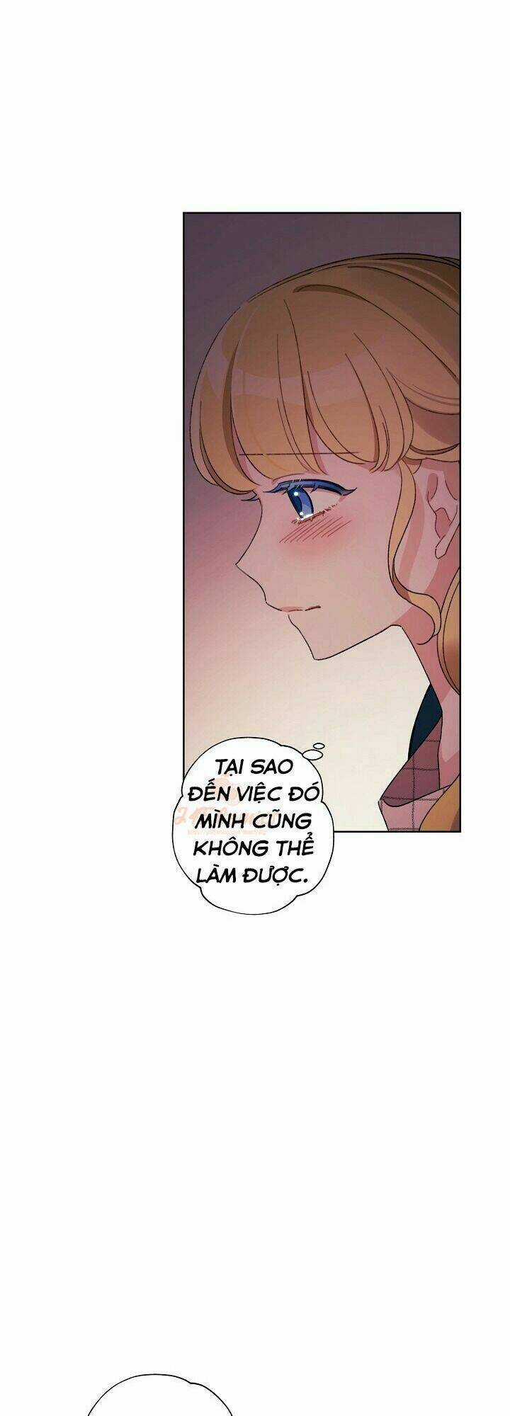 Tôi Trở Thành Mẹ Kế Của Cinderella Chapter 29 trang 17