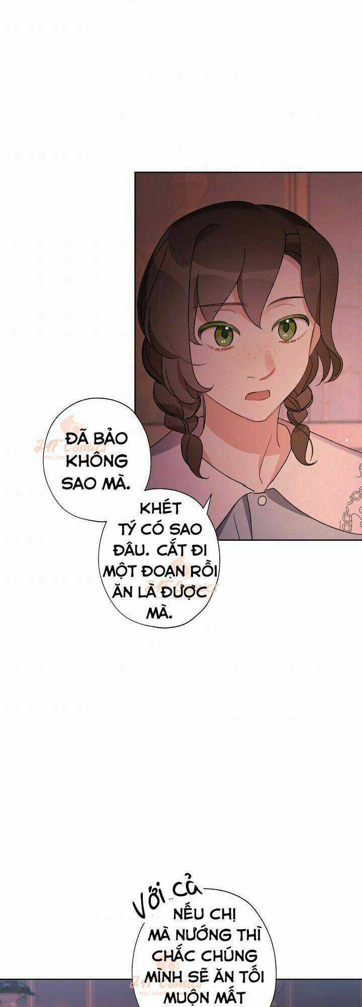 Tôi Trở Thành Mẹ Kế Của Cinderella Chapter 29 trang 23