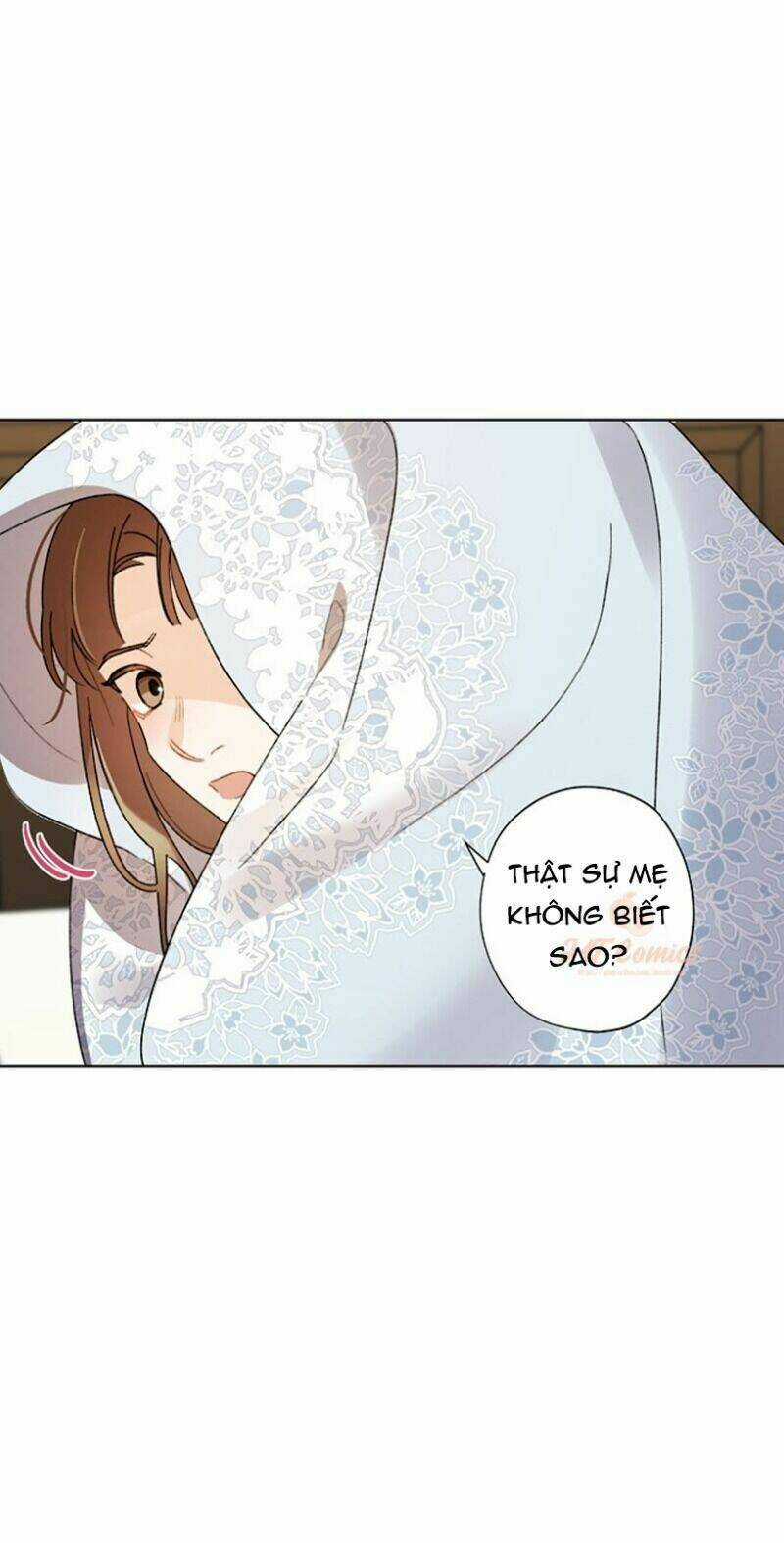 Tôi Trở Thành Mẹ Kế Của Cinderella Chapter 38 trang 50