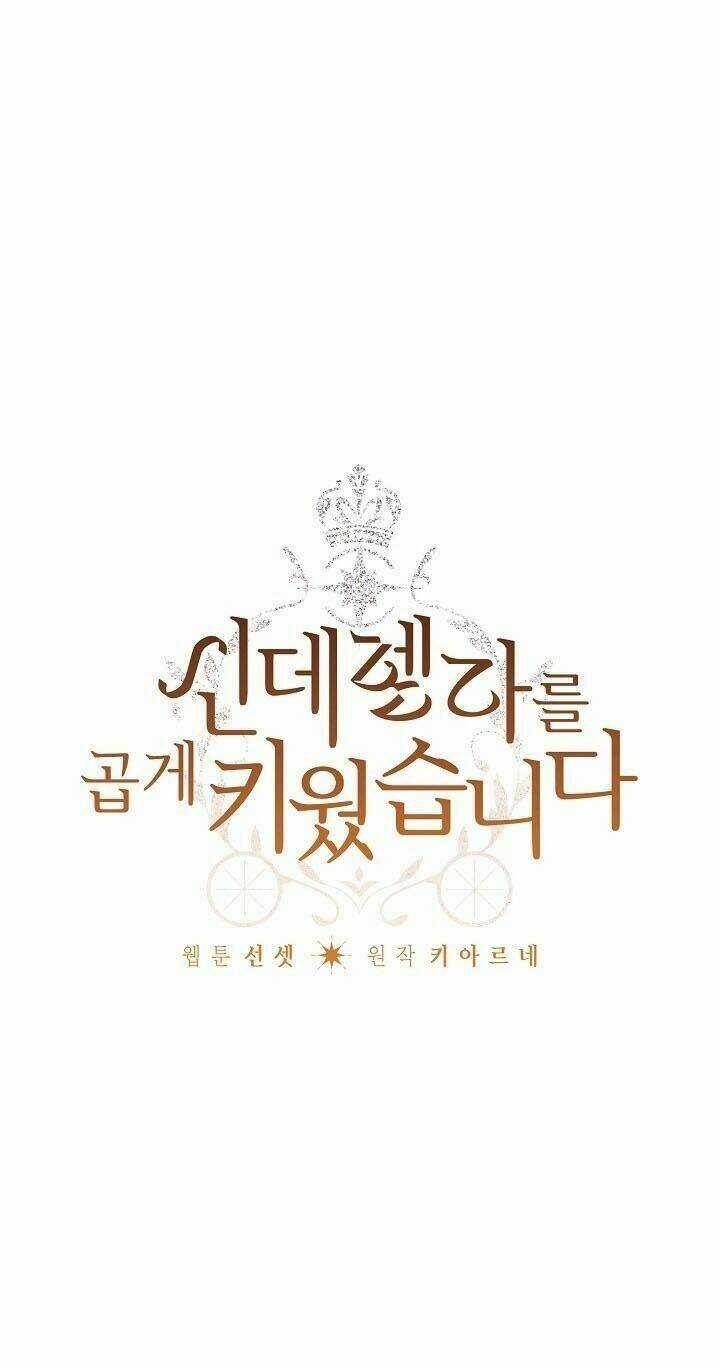 Tôi Trở Thành Mẹ Kế Của Cinderella Chapter 39 trang 2