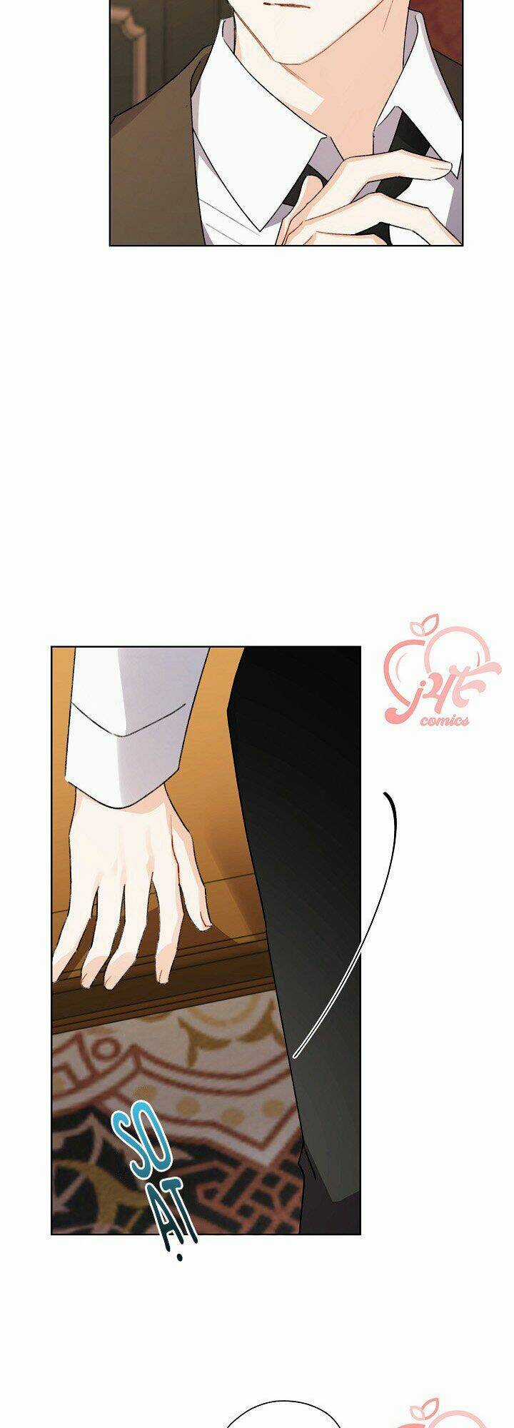 Tôi Trở Thành Mẹ Kế Của Cinderella Chapter 45 trang 14