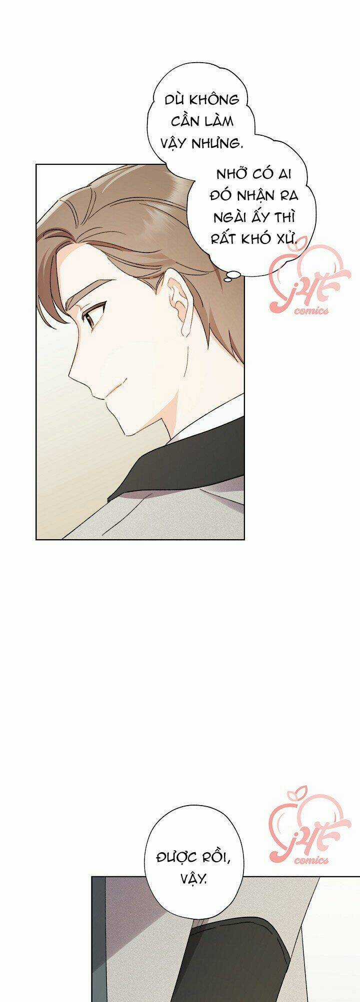 Tôi Trở Thành Mẹ Kế Của Cinderella Chapter 45 trang 28