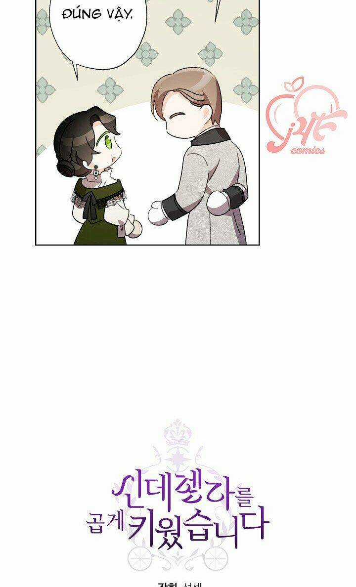 Tôi Trở Thành Mẹ Kế Của Cinderella Chapter 45 trang 47