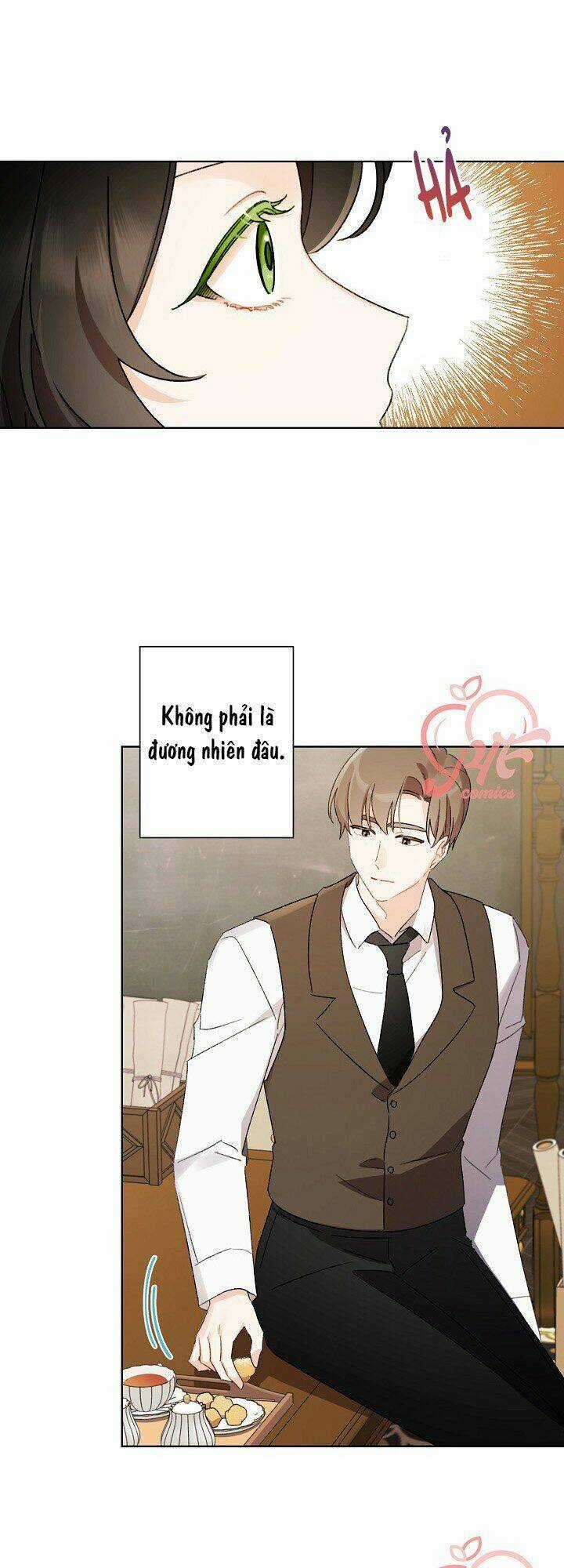 Tôi Trở Thành Mẹ Kế Của Cinderella Chapter 45 trang 9