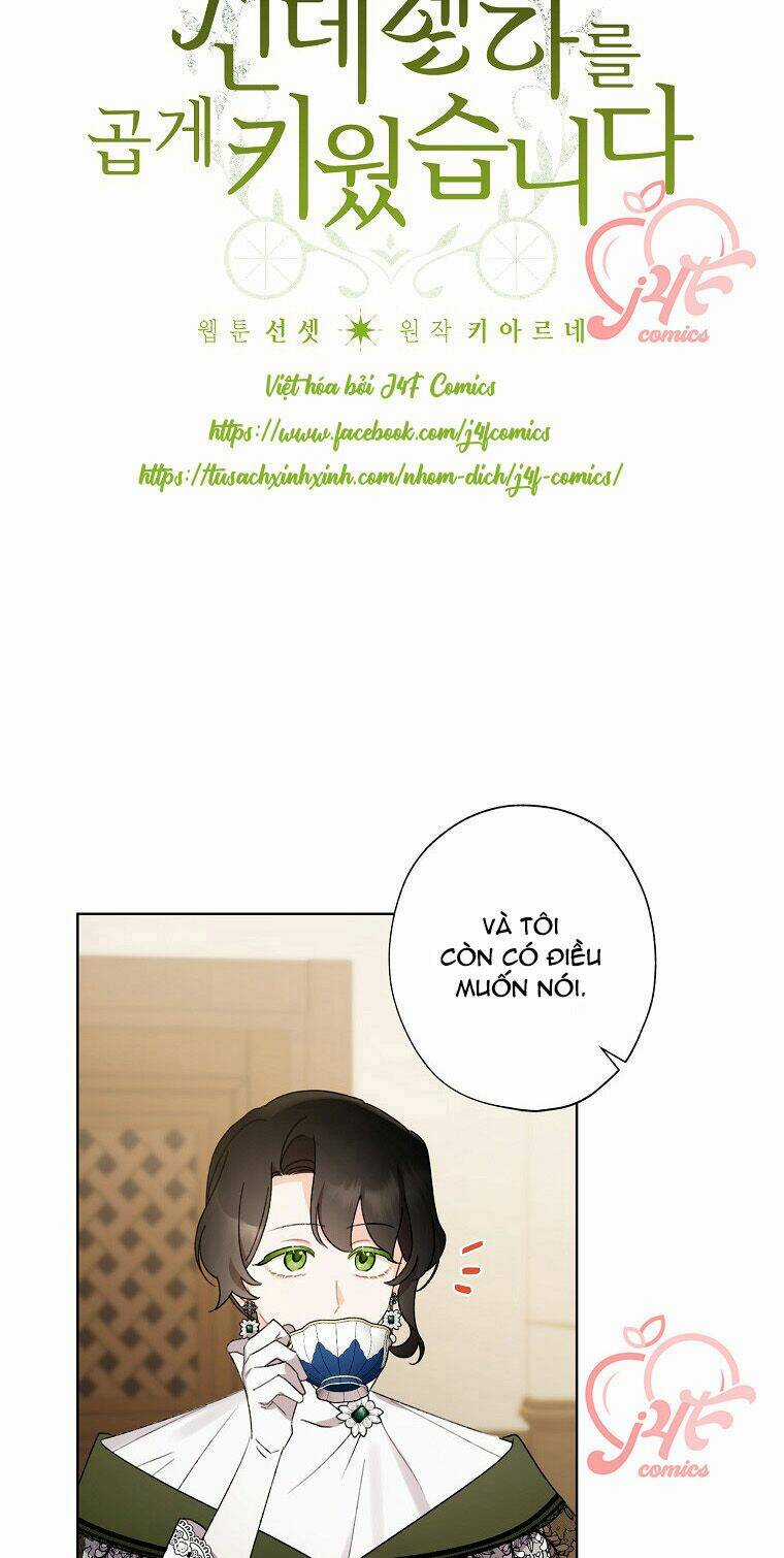 Tôi Trở Thành Mẹ Kế Của Cinderella Chapter 50 trang 13