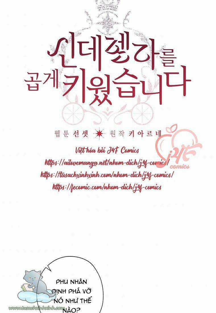 Tôi Trở Thành Mẹ Kế Của Cinderella Chapter 57 trang 3