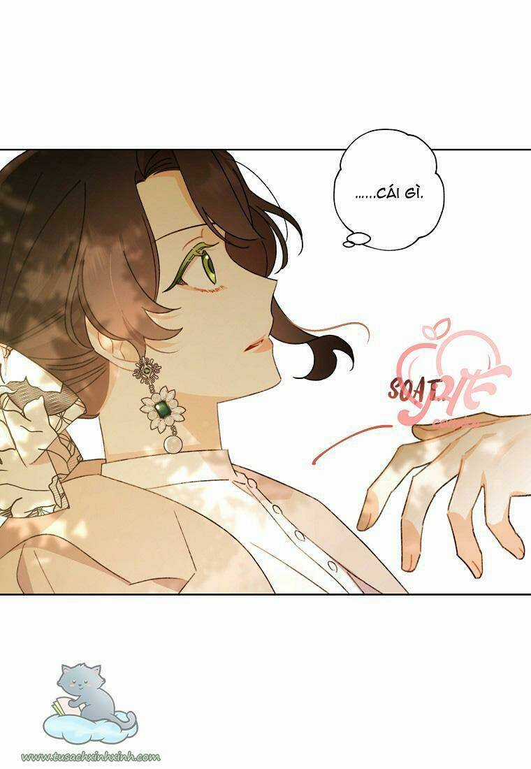Tôi Trở Thành Mẹ Kế Của Cinderella Chapter 57 trang 40