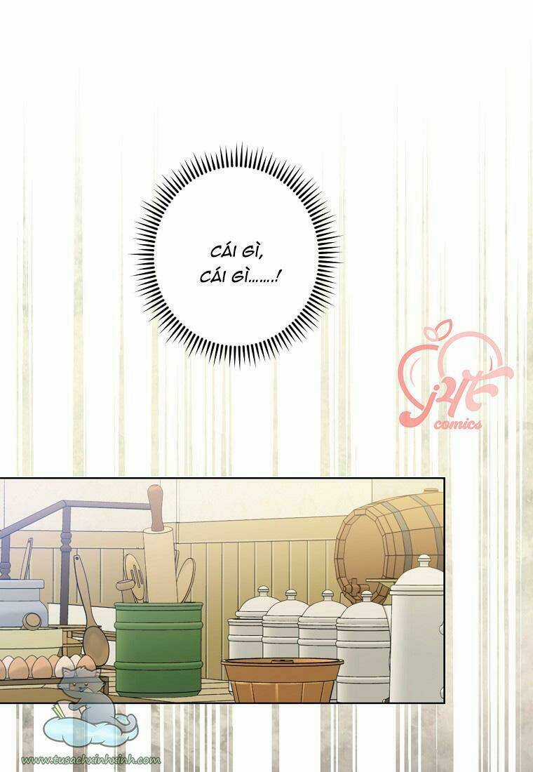 Tôi Trở Thành Mẹ Kế Của Cinderella Chapter 57 trang 42