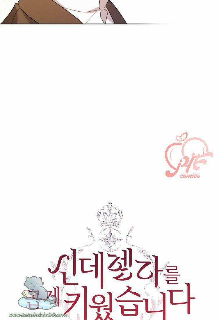 Tôi Trở Thành Mẹ Kế Của Cinderella Chapter 60 trang 22