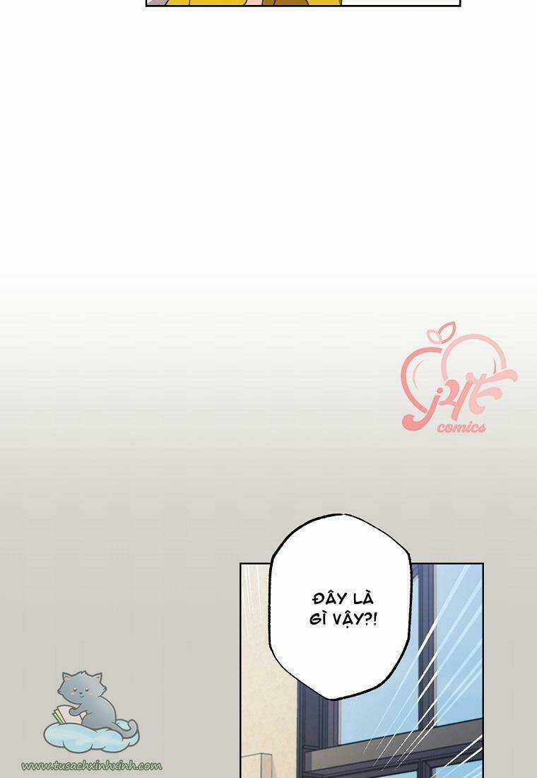 Tôi Trở Thành Mẹ Kế Của Cinderella Chapter 60 trang 27